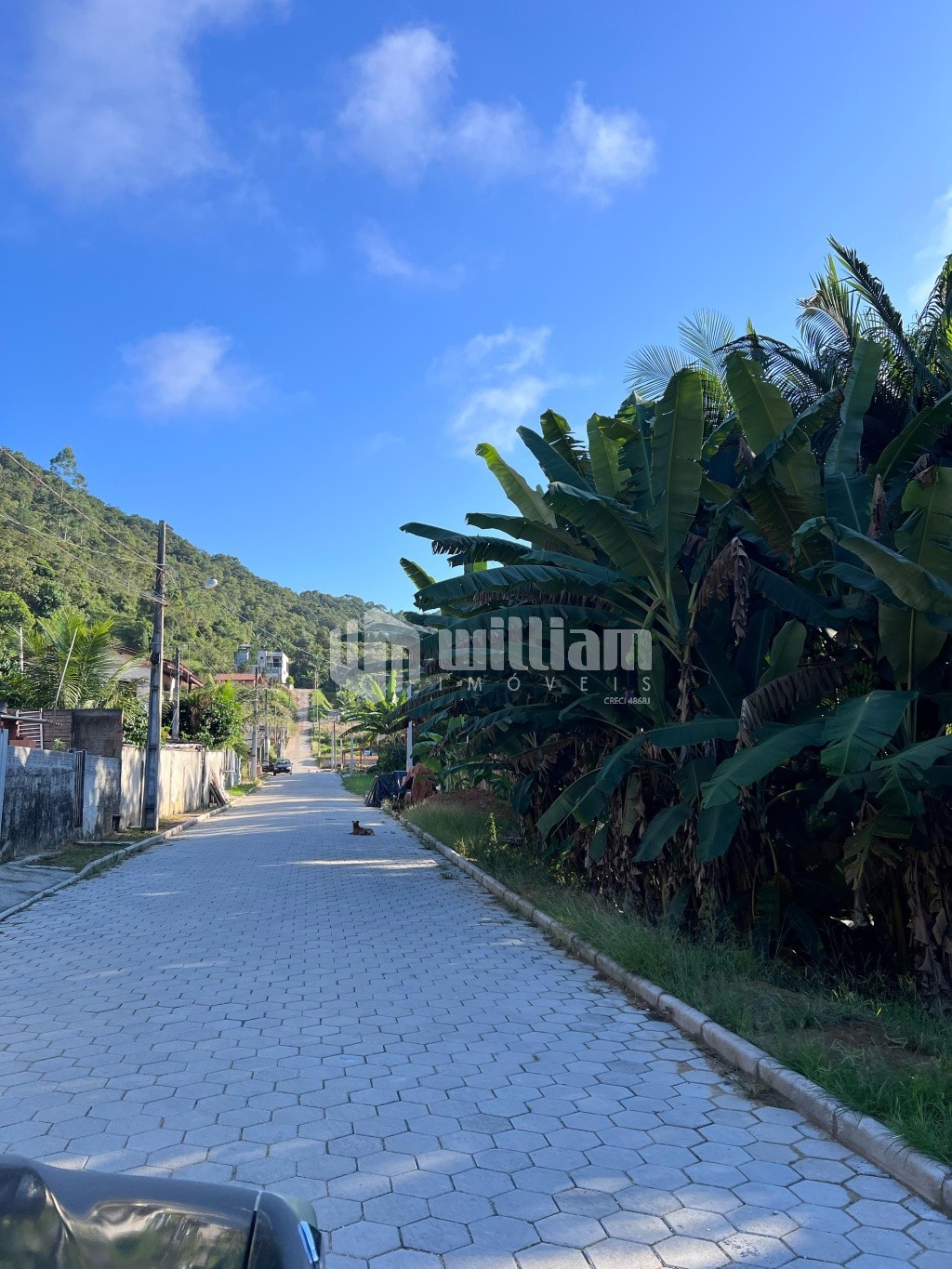 Lote/Terreno de 341m² no bairro Lageado Baixo, em Guabiruba | Eu Corretor