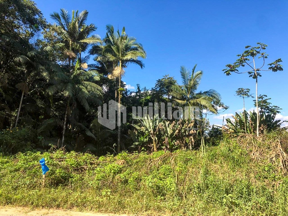 Lote/Terreno de 4730m² no bairro Bateas, em Brusque | Eu Corretor