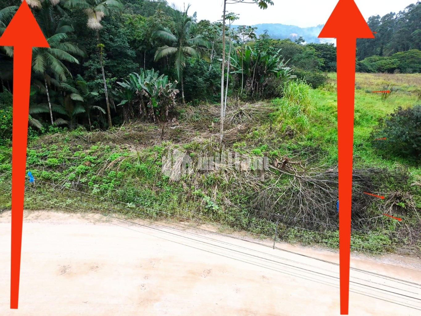 Lote/Terreno de 4730m² no bairro Bateas, em Brusque | Eu Corretor
