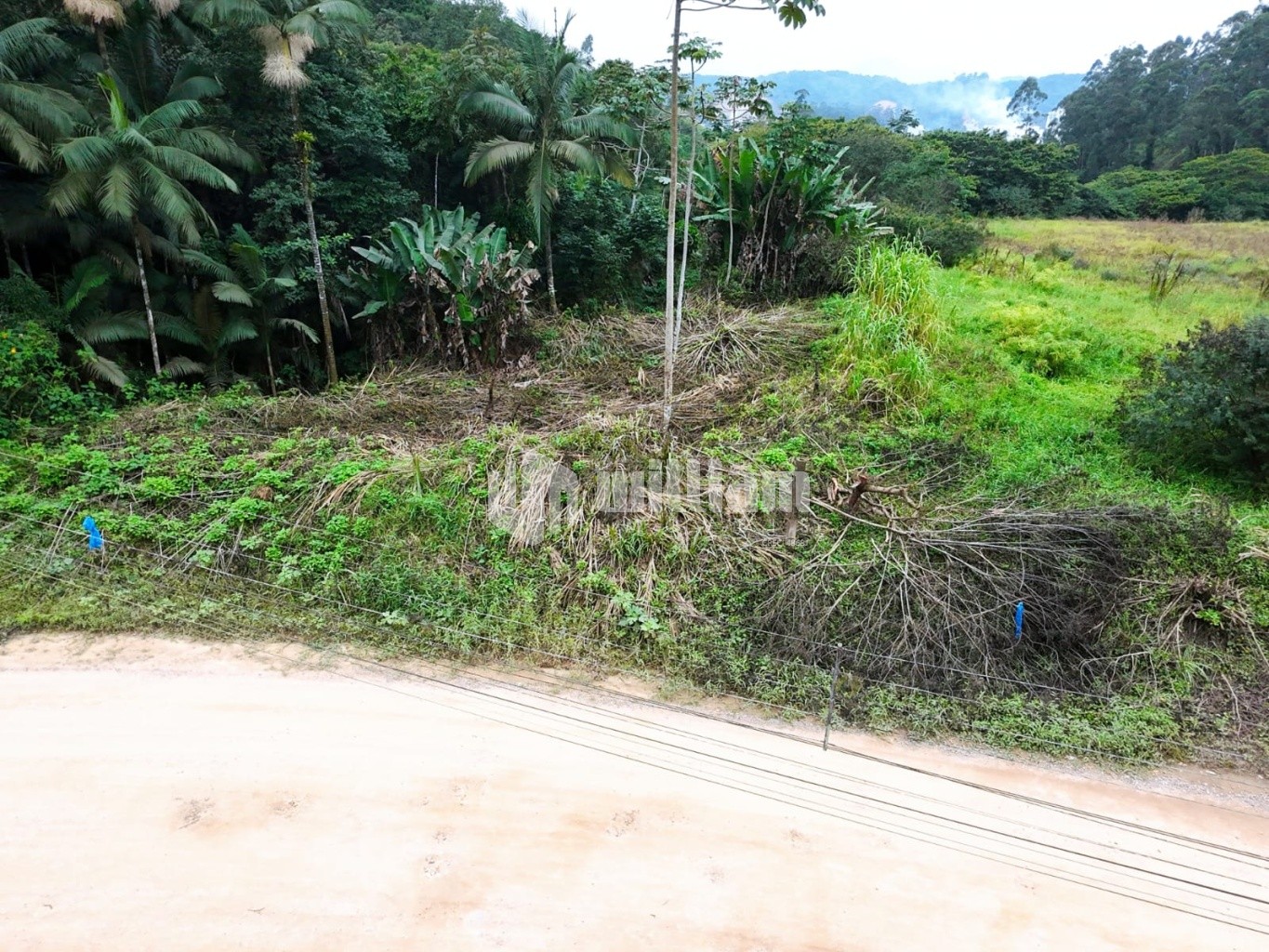 Lote/Terreno de 4730m² no bairro Bateas, em Brusque | Eu Corretor
