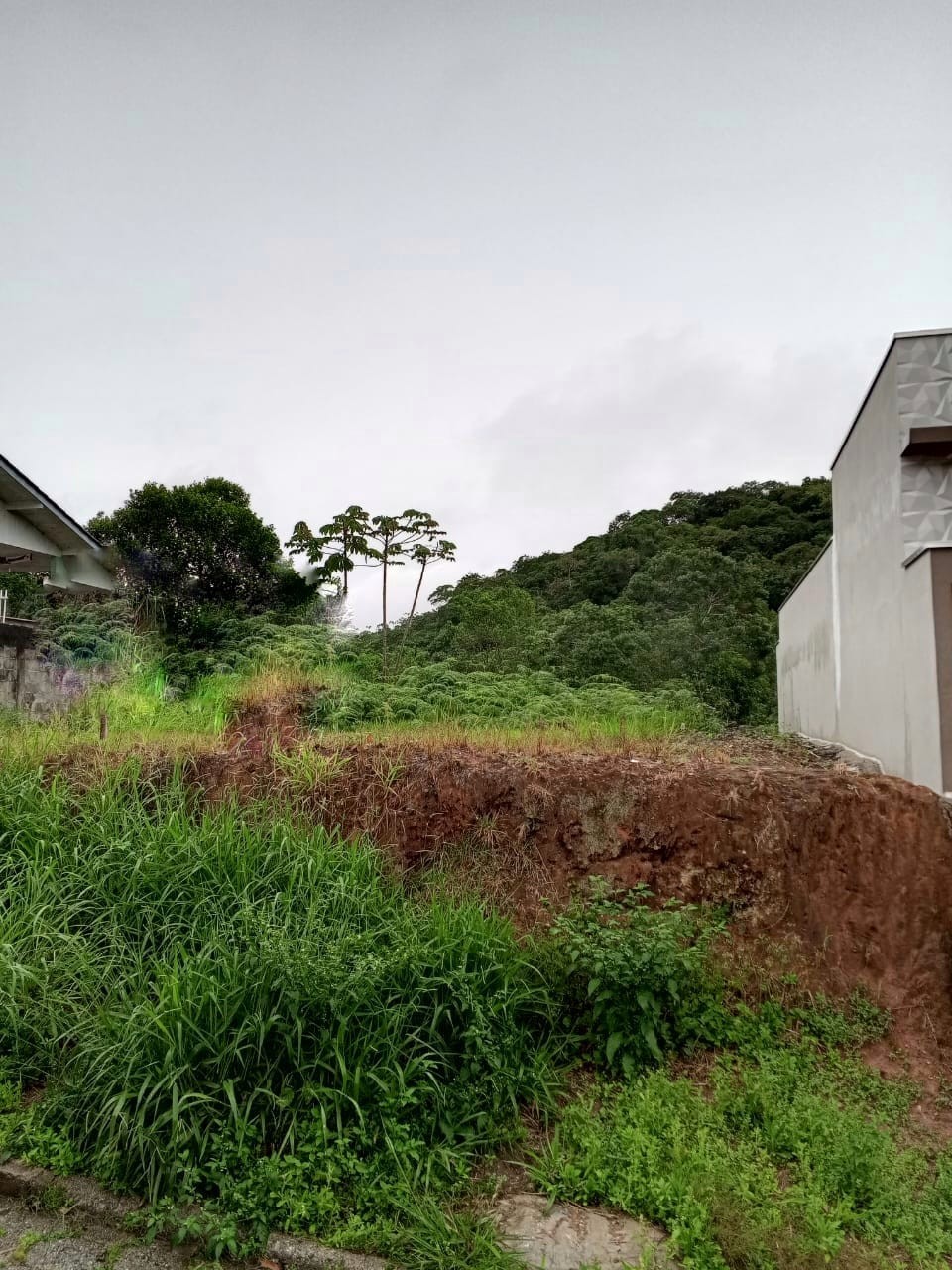 Lote/Terreno de 422m² no bairro Souza Cruz, em Brusque | Eu Corretor