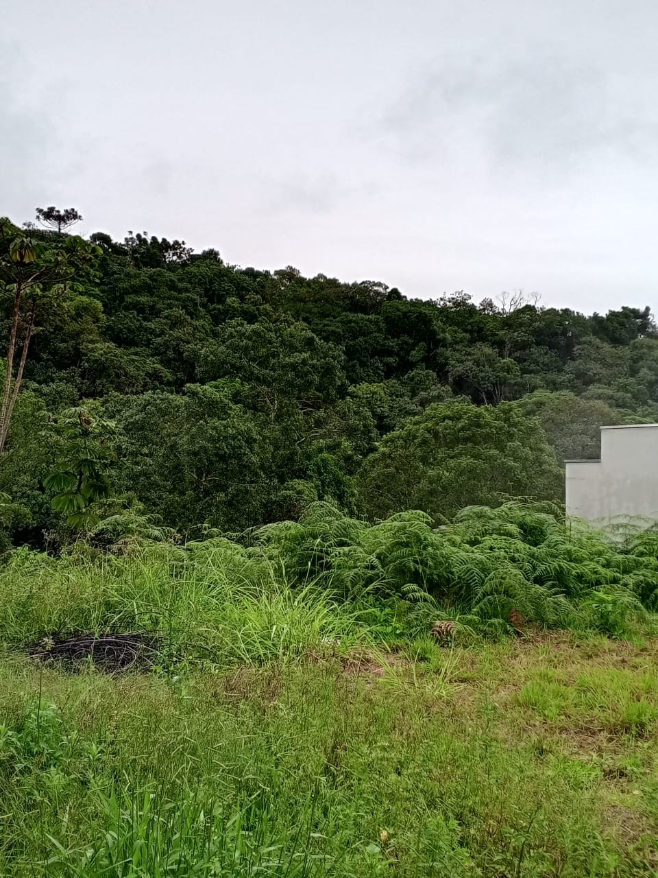 Lote/Terreno de 422m² no bairro Souza Cruz, em Brusque | Eu Corretor