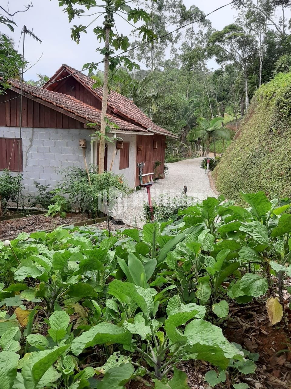 Fazenda/Sítios/Chácaras de 2 quartos, no bairro Limeira Baixa, em Brusque | Eu Corretor