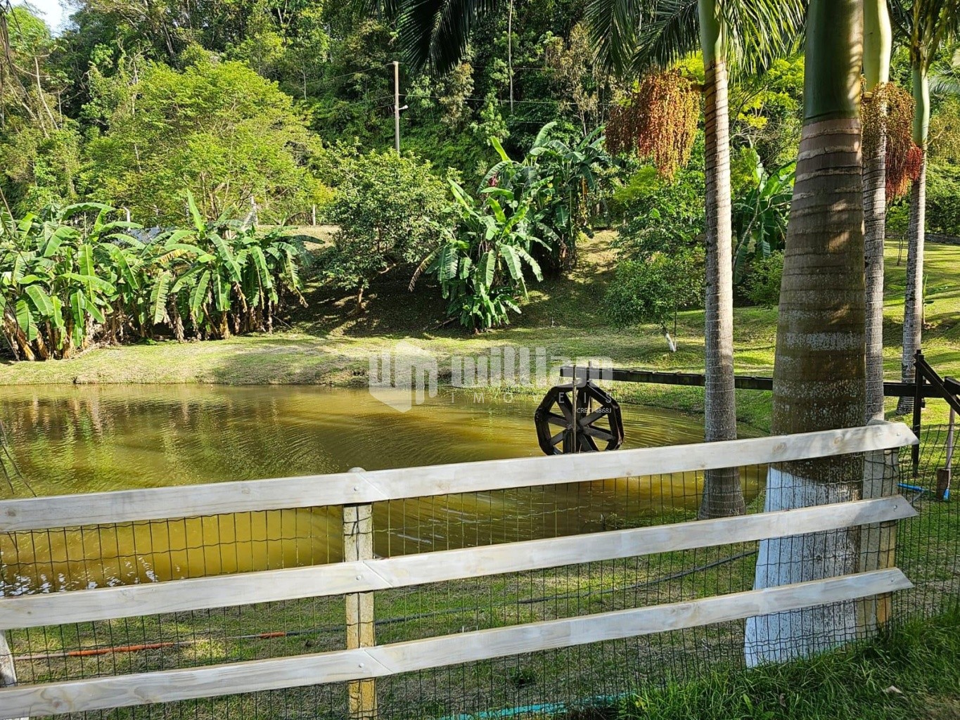 Fazenda/Sítios/Chácaras de 3 quartos, 180m² no bairro São Pedro, em Brusque | Eu Corretor