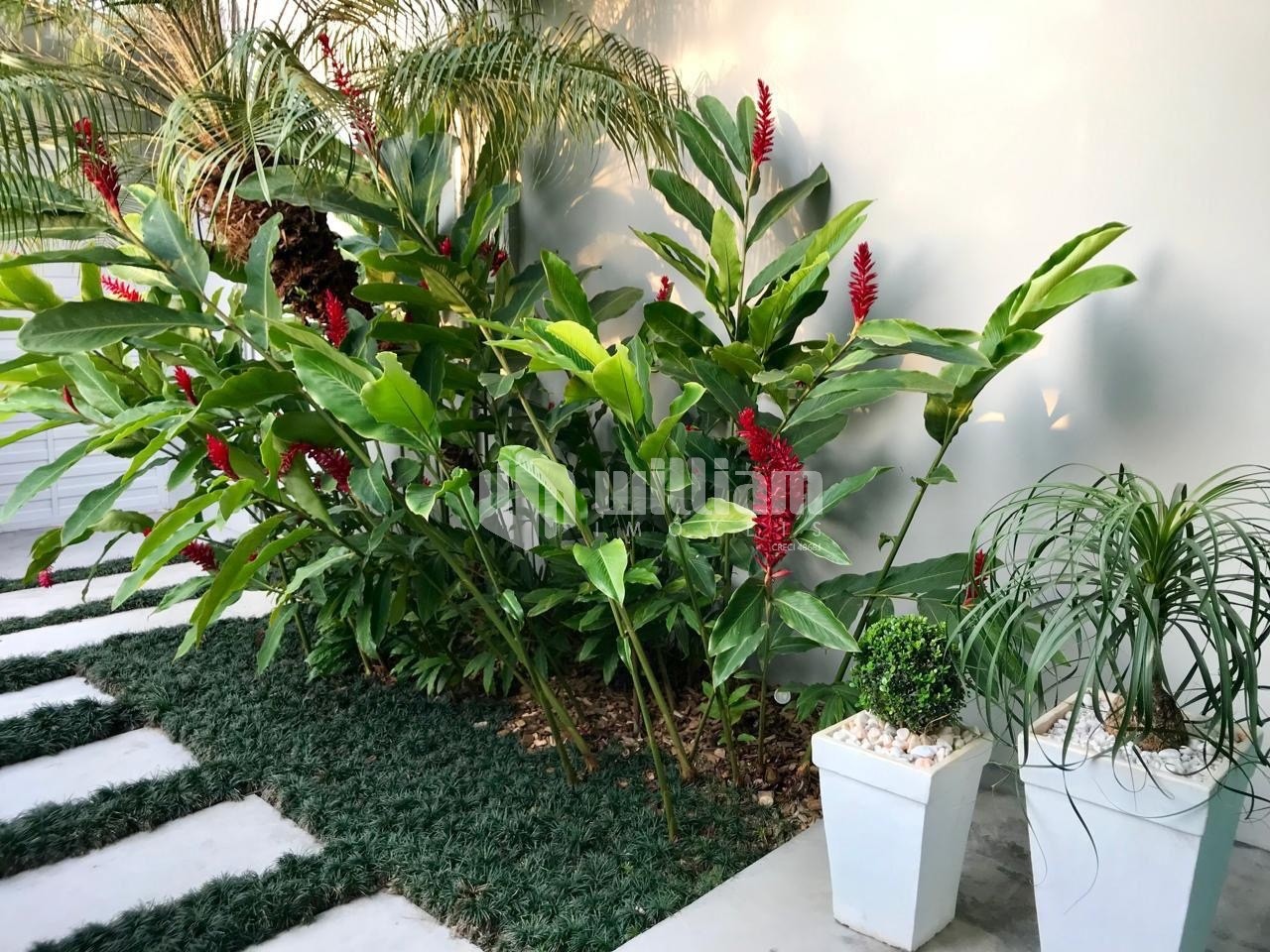 Casa de 3 quartos, 350m² no bairro Jardim Maluche, em Brusque | Eu Corretor