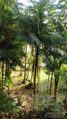 Imagem-26