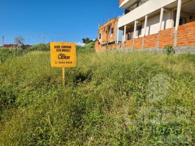 Imagem-1