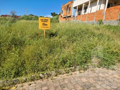 Imagem-7