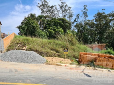 Imagem-2