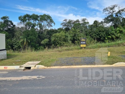Imagem-8