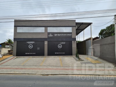 Imagem-1