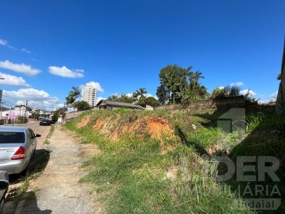 Imagem-2
