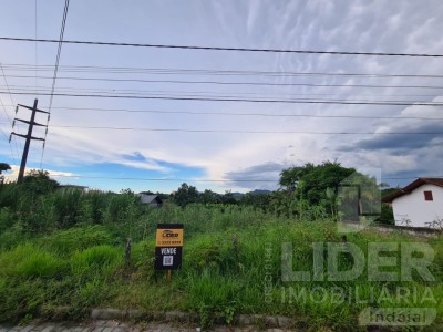 Imagem-1
