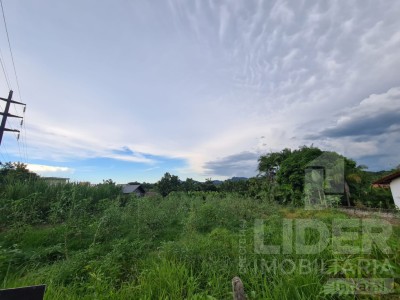 Imagem-3