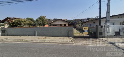 Imagem-1