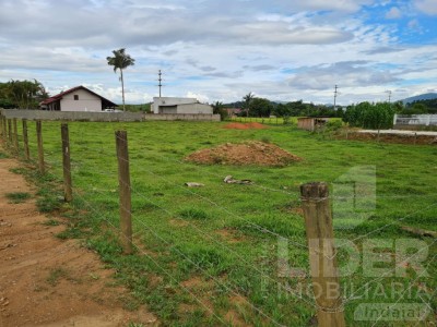 Imagem-10