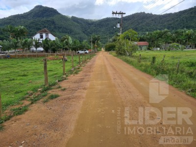 Imagem-7