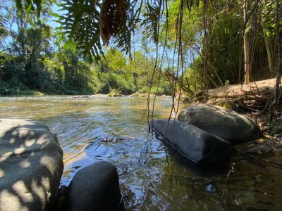 Imagem-11