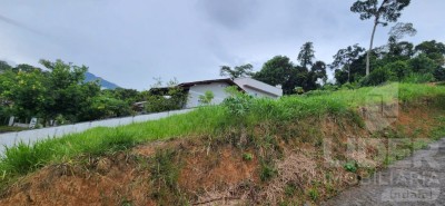 Imagem-2