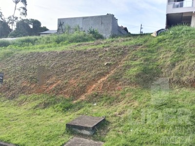 Imagem-4