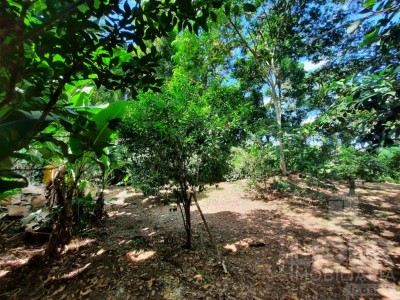 Imagem-12