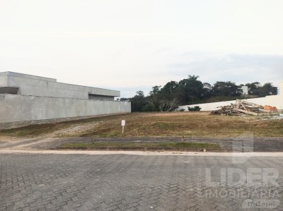 Imagem-4