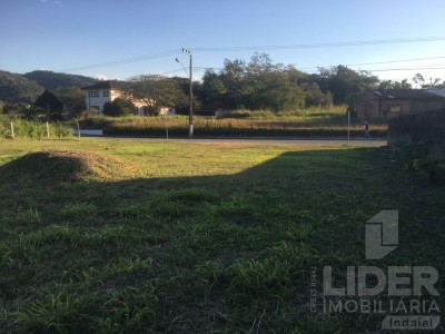 Imagem-3
