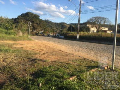 Imagem-2