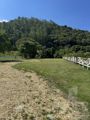 Imagem-2