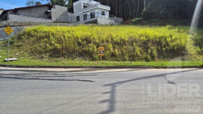 Imagem-7
