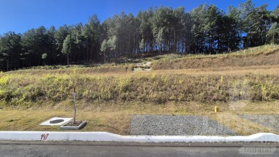 Imagem-1