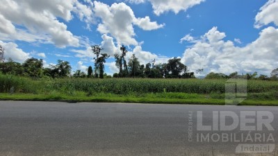 Imagem-1