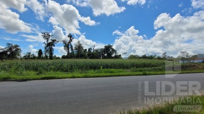 Imagem-2