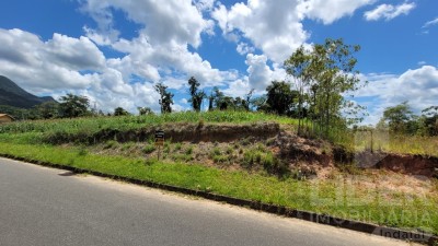Imagem-2