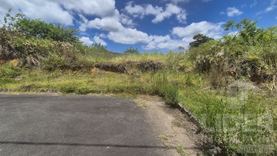 Imagem-3
