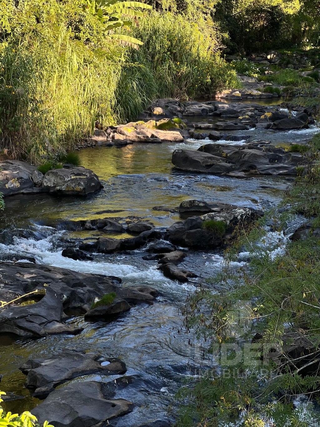 Sítio com 5.000m de terreno perto da BR-470 - foto 1