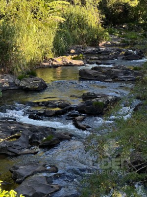 Imagem-1