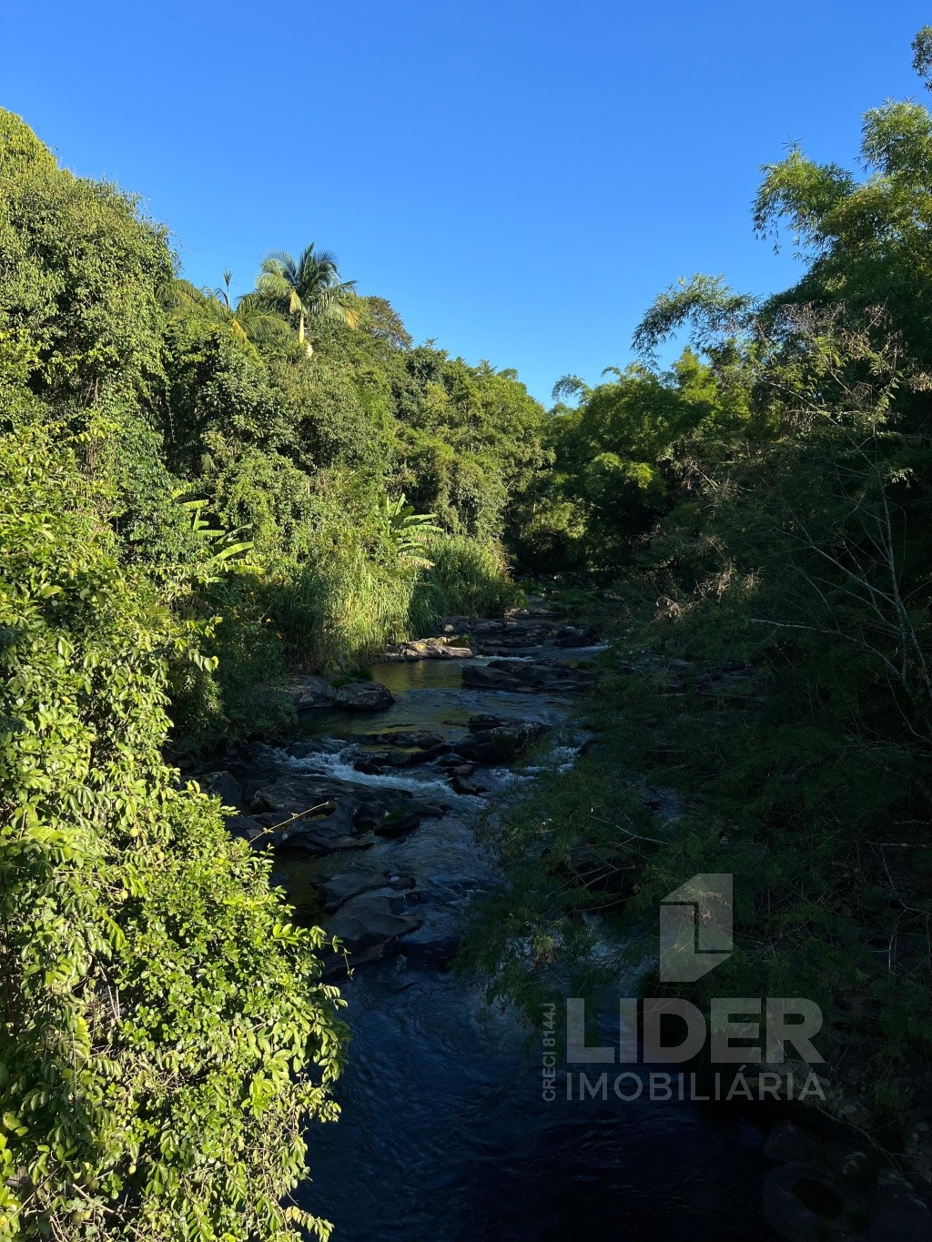 Sítio com 5.000m de terreno perto da BR-470 — foto 2