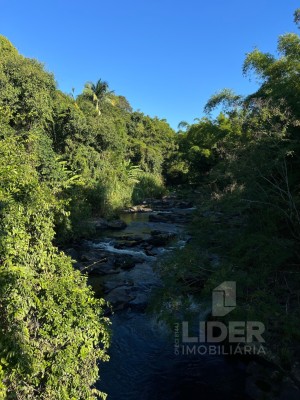 Imagem-2