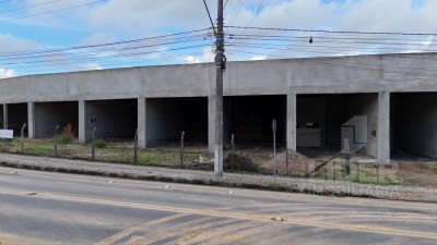Imagem-11