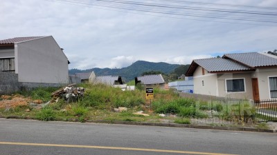 Imagem-1