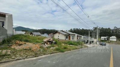Imagem-5