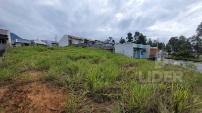 Imagem-4