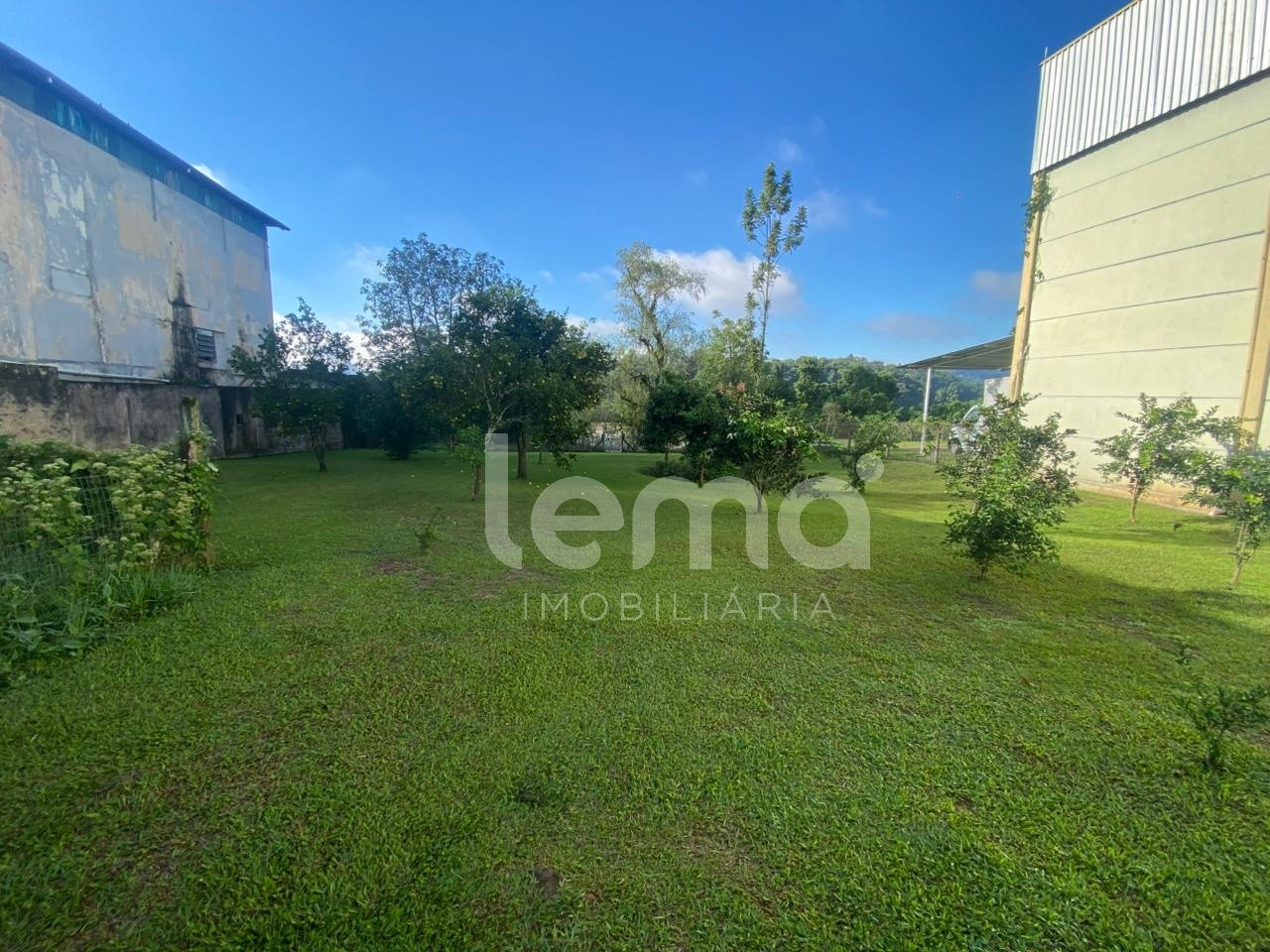 Casa térrea com 3 dormitórios, amplo terreno nos fundos com pomar em Blumenau. — foto 7