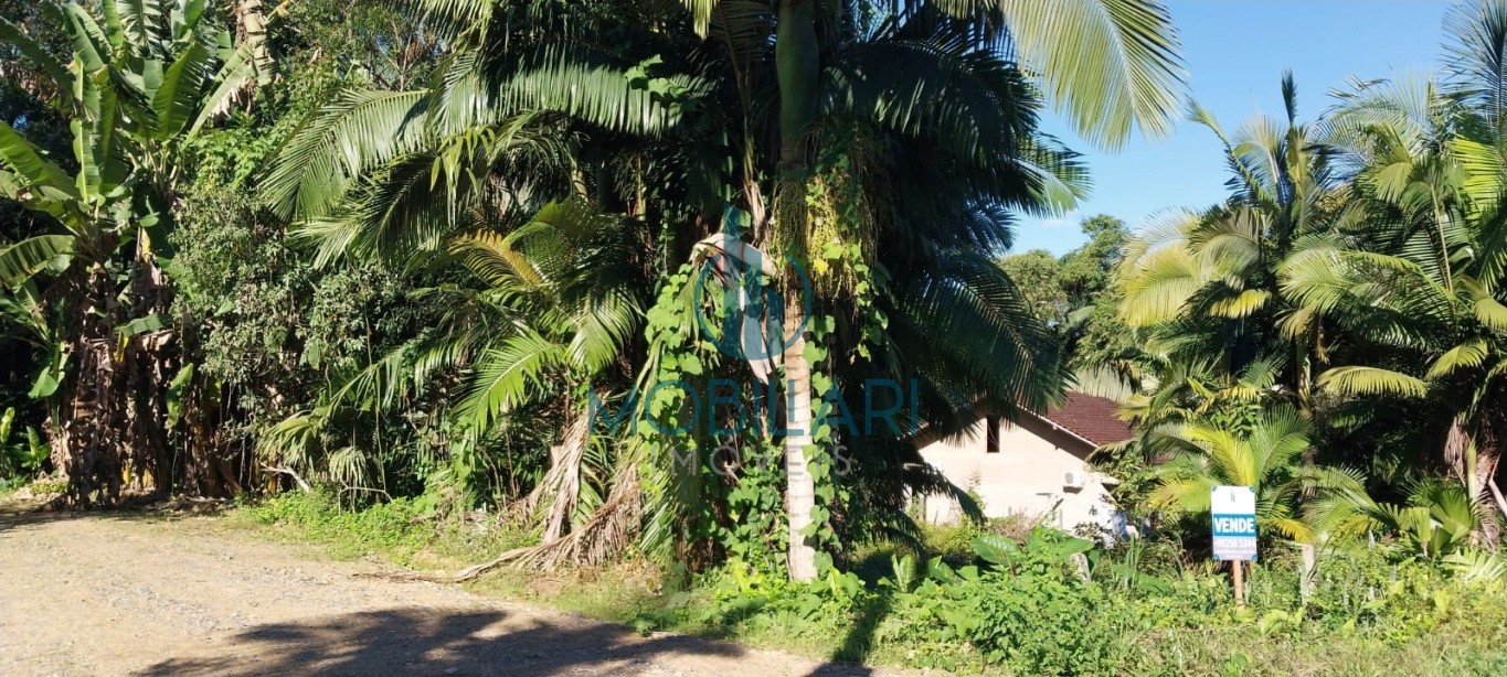 Terreno de 3674 metros quadrados no Fidelis, ideal para construção de sobrados. — foto 3