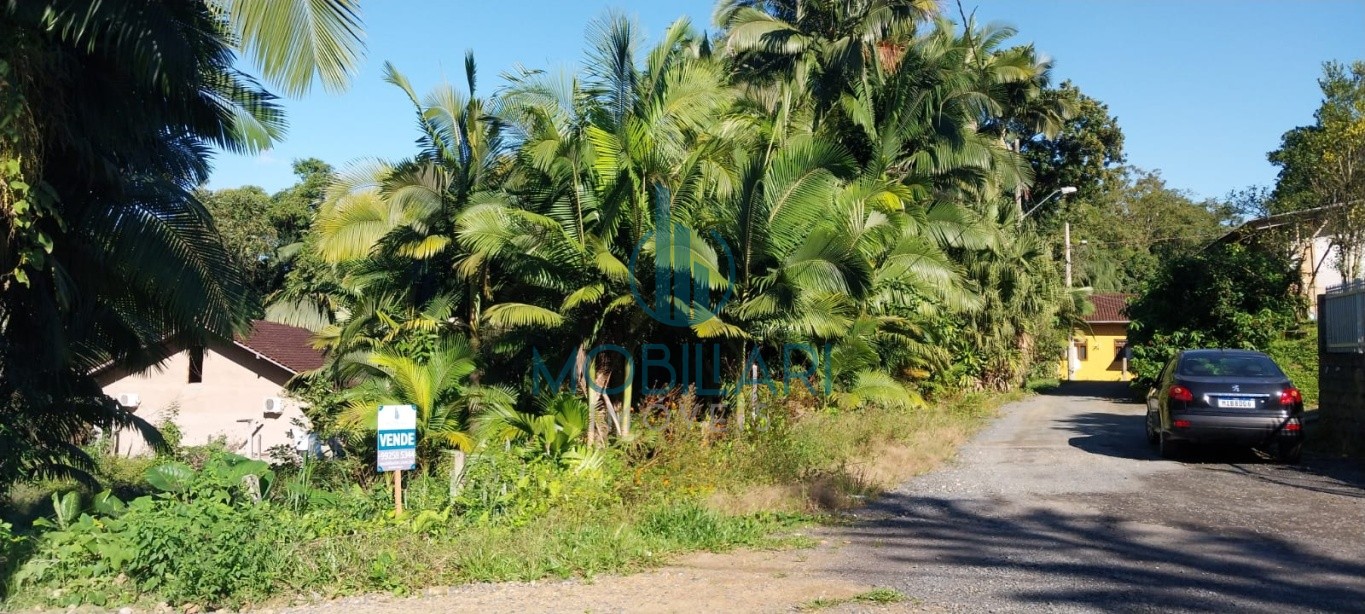 Terreno de 3674 metros quadrados no Fidelis, ideal para construção de sobrados. — foto 2
