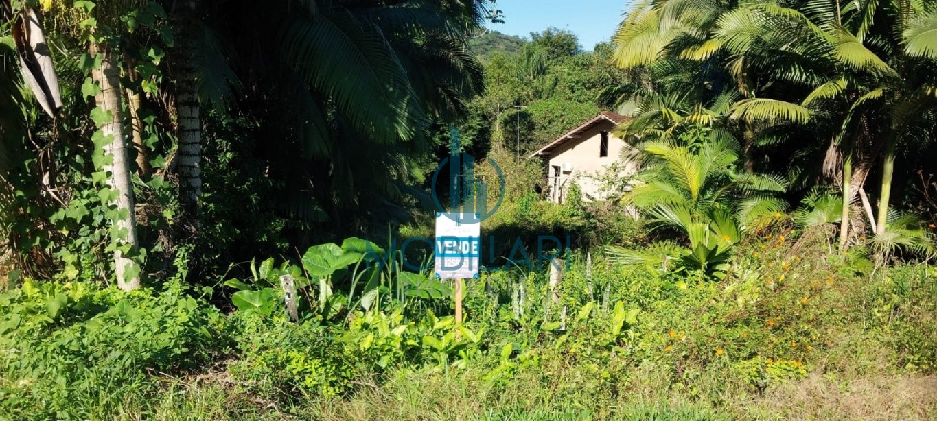 Terreno de 3674 metros quadrados no Fidelis, ideal para construção de sobrados. — foto 4
