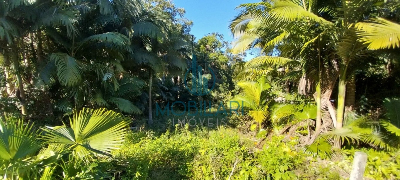 Terreno de 3674 metros quadrados no Fidelis, ideal para construção de sobrados. — foto 5