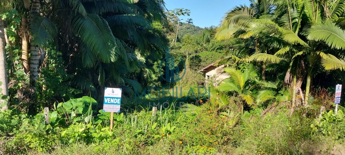 Terreno de 3674 metros quadrados no Fidelis, ideal para construção de sobrados. - foto 1