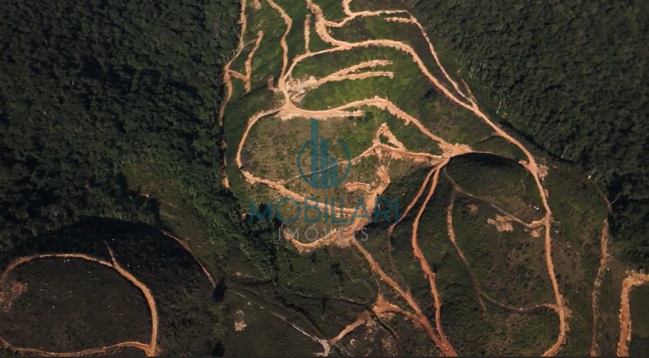 Terreno Amplo no Bairro Barracão em Gaspar - Ideal para Loetamento/Construtoras ou Investidores — foto 5